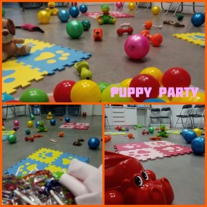 valenciaprevio-puppy-2015