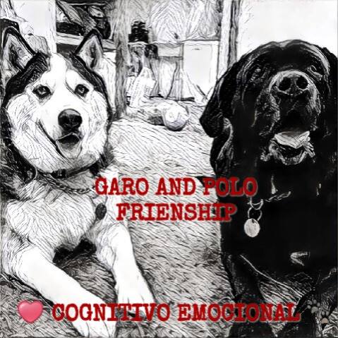 La amistad de Garo y Polo, lograda gracias al trabajo COGNITIVO-EMOCIONAL. Imagen tomada de la portada del Facebook de su tutora, Flia Roda Blasco.