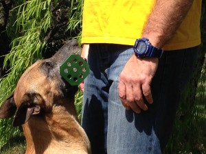 Un plano más cercano del extraordinario apport metálico de OCI de Good Can