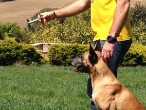 También es comodísimo y muy equilibrado para lanzarlo.