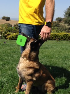 Apport madera coloreada.