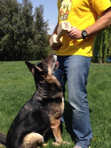 Apport IPO 1000 gramos con Ela, preciosos los logotipos "quemados" de Good Can en los laterales.