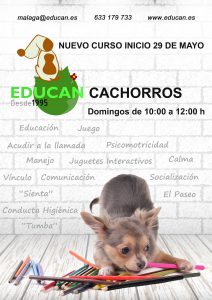CACHORROS MAYO 16