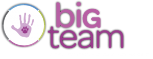 Big Team