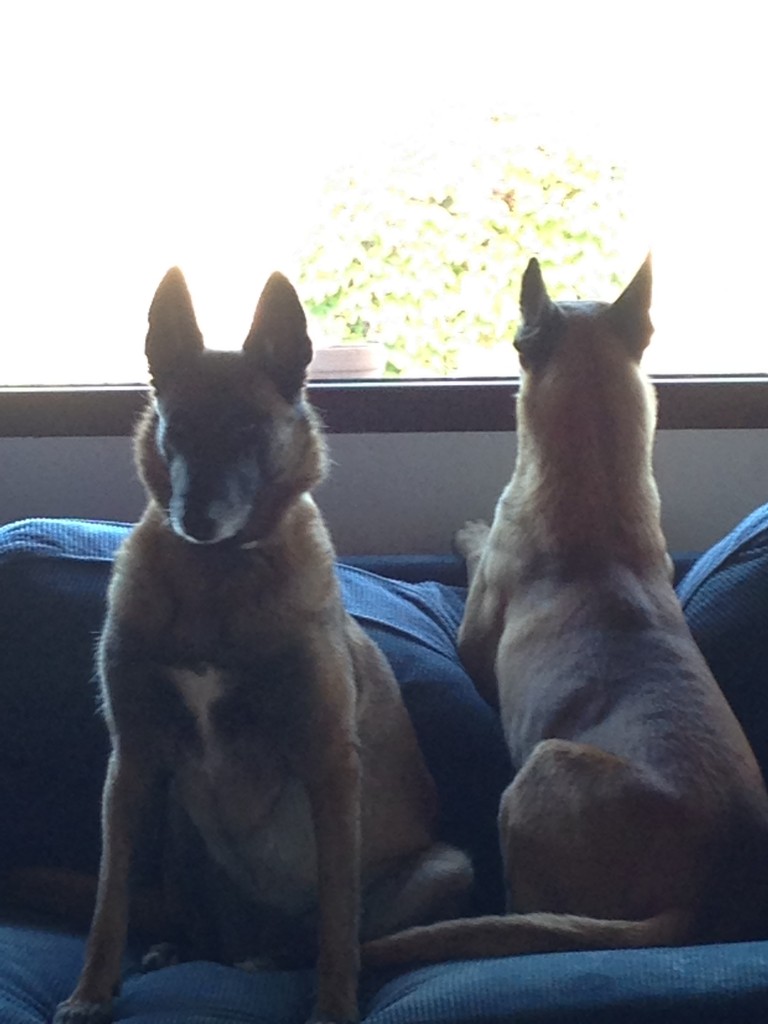 Cata y Gastón frente a la ventana