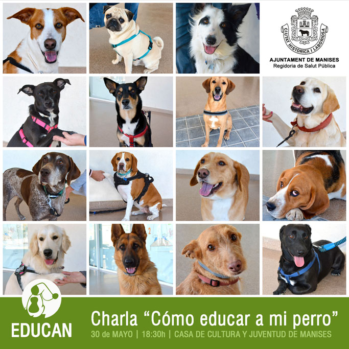 Cartel charla "Cómo educar a mi perro"