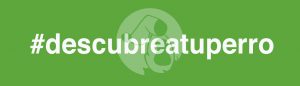 #descubreatuperro