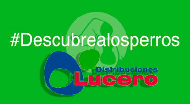 Distribuciones LUCERO se suma a la I+D+i de EDUCAN , más que patrocinio cooperación.