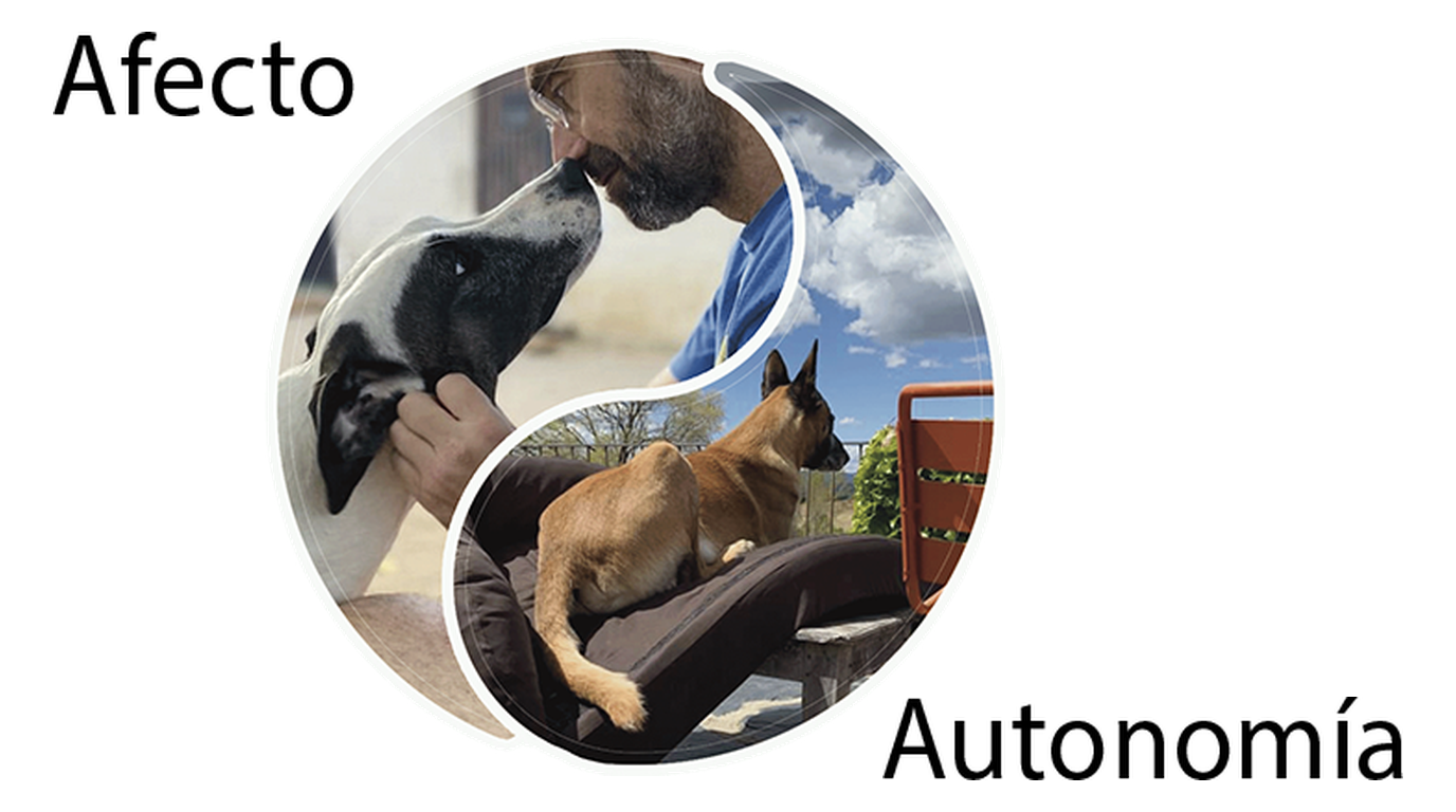 Ciclo Afecto / Autonomía