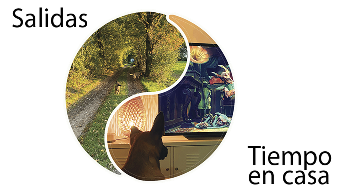 Ciclo Salidas / Tiempo en casa