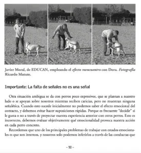 Guau! Los colegas caninos en los parques – Orejas Al Ataque