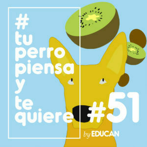 Tu perro piensa y te quiere