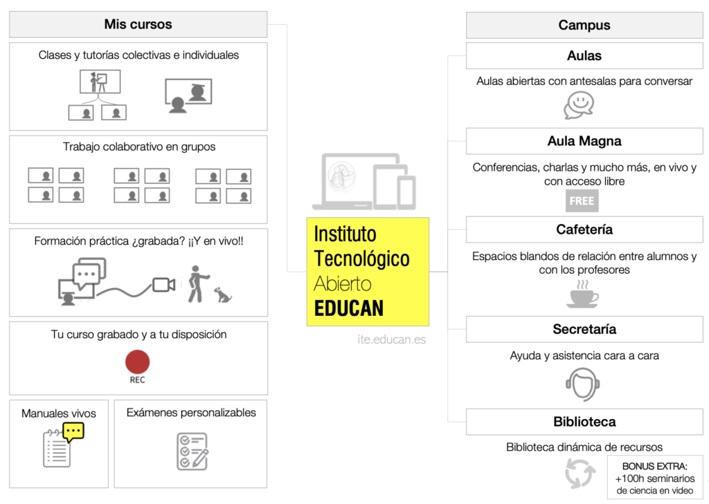 Ecosistema del ITE