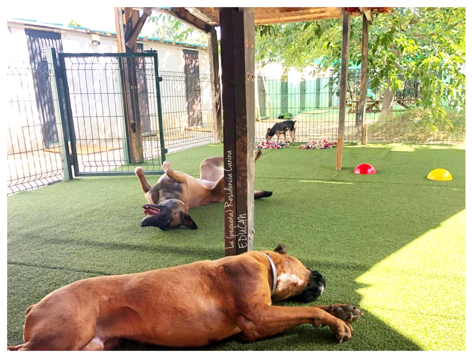 Juegos de guarderia de perros hotsell