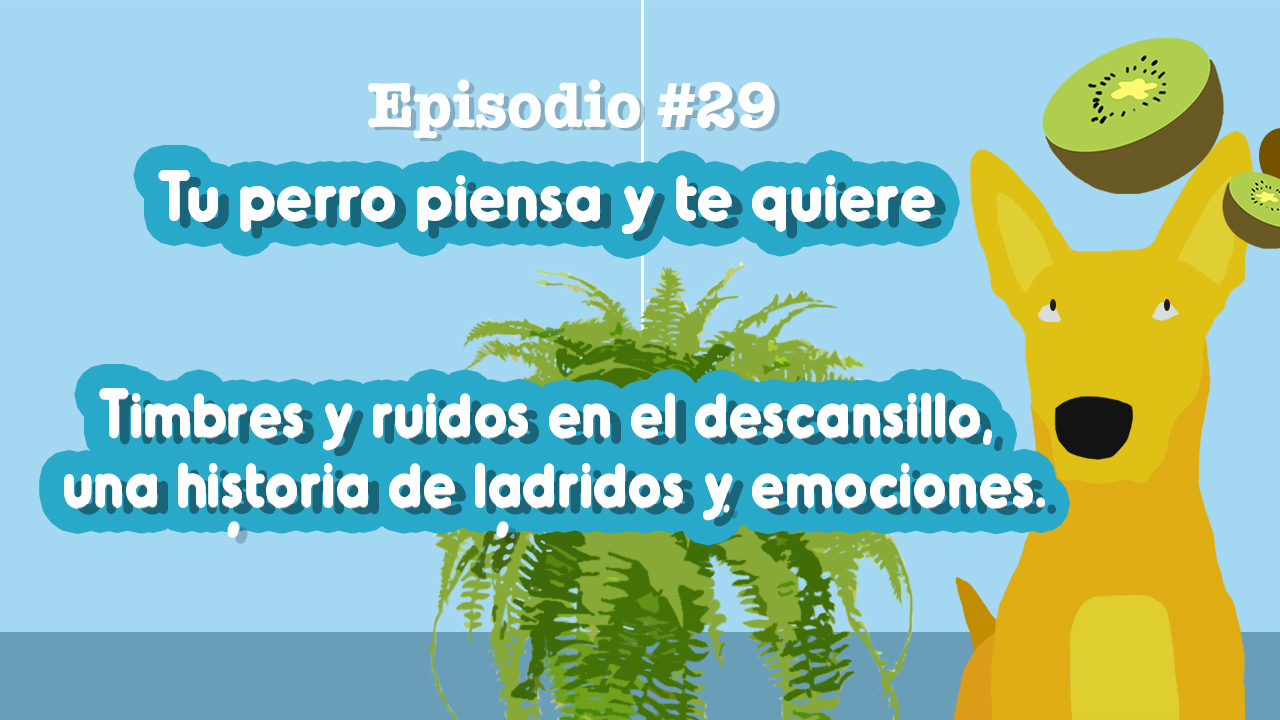 Laberinto Boli Loco - Ingenio Destreza Mental