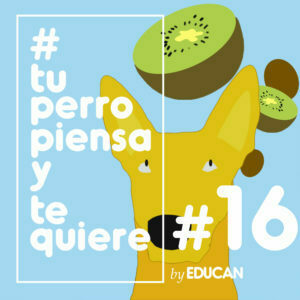 Tu perro piensa y te quiere