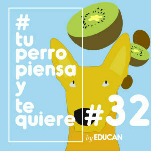 Tu perro piensa y te quiere