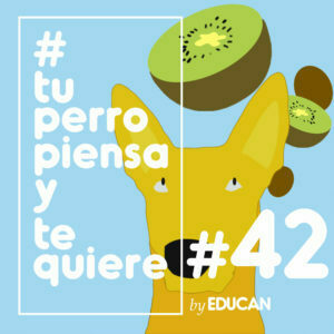 Tu perro piensa y te quiere