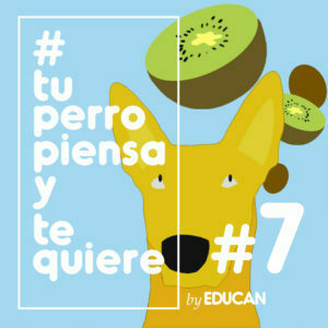 Tu perro piensa y te quiere