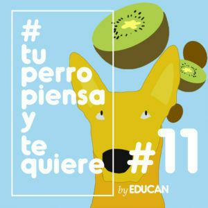 Tu perro piensa y te quiere