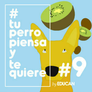 Tu perro piensa y te quiere