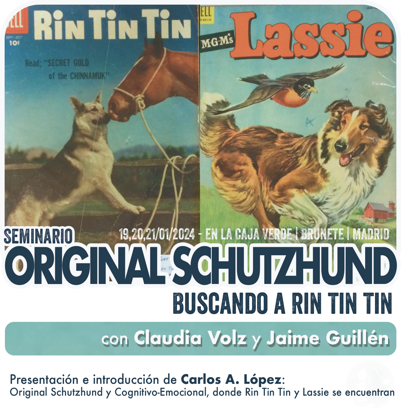 Buscando a Rin Tin Tin EDUCAN