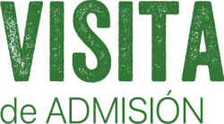 visita