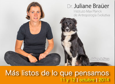 Habilidades cognitivas de los animales - Adiestramiento EDUCAN Habilidades cognitivas de los animales - Adiestramiento EDUCAN