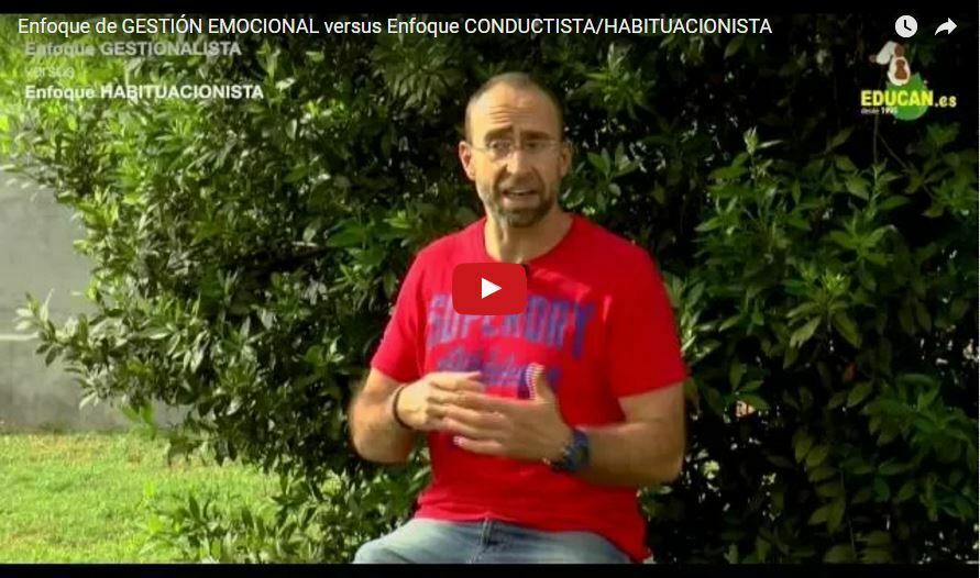Enfoque de GESTIÓN EMOCIONAL versus enfoque CONDUCTISTA/HABITUACIONISTA